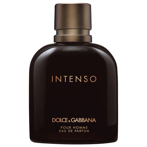 parfum dolce gabbana intenso|dolce and gabbana intenso fragrantica.